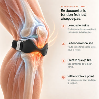 Sangle rotulienne Vittier